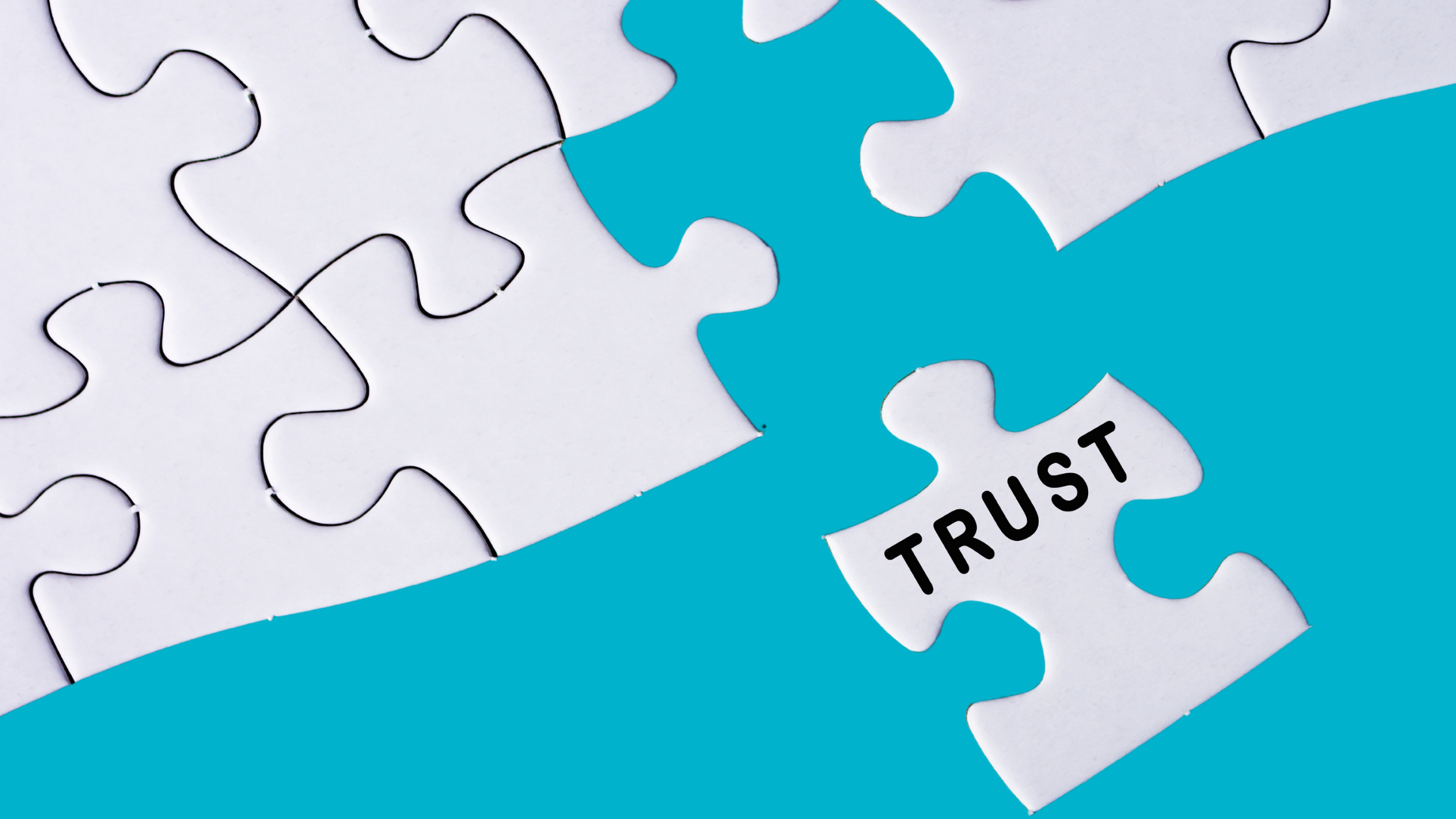 establishing trust in a business